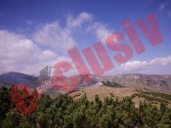 Defrisari ilegale la Ranca?