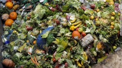 SUA: Locuitorii orasului Seatlle, amendati daca arunca resturi alimentare la gunoi