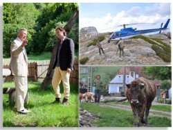 TVR difuzeaza celebrul documentar despre Romania – Wild Carpathia