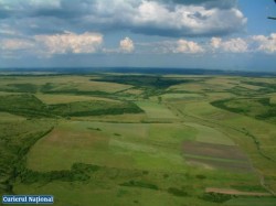 Retrocedare ilegala de peste 5000ha de padure in Judetul Buzau