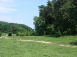 Parchetul Ploiesti, sesizat pentru retrocedarea a 980 de hectare de padure din Magureni
