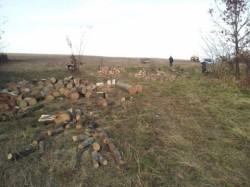 Taiau ilegal lemne din padurea de langa Sacosul Mare. Doi barbati inarmati cu o drujba au fost prinsi in flagrant de jandarmi