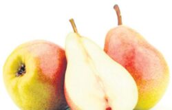 Perele regleaza digestia si previn diabetul!
