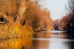 Proiect: Mecanism unic de control pentru combaterea braconajului in Rezervatia Delta Dunarii