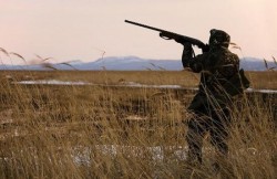 Deputatii dezbat noua lege a vanatorii