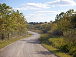 ANRP sesizeaza Parchetul privind retrocedarea a 980 de hectare de padure din Magureni-Prahova