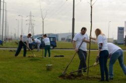 Un mediu verde in Parcul Industrial - Campanie de plantat copaci