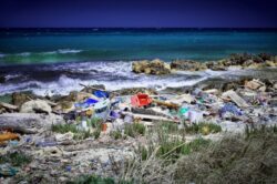 Plasticul care se degradeaza in trei ore