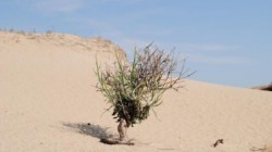 Un desert a aparut intr-o tara din Europa. Pustiul se afla foarte aproape de Republica Moldova