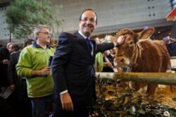 Salonul agriculturii de la Paris: vaca, simbol al poluǎrii?